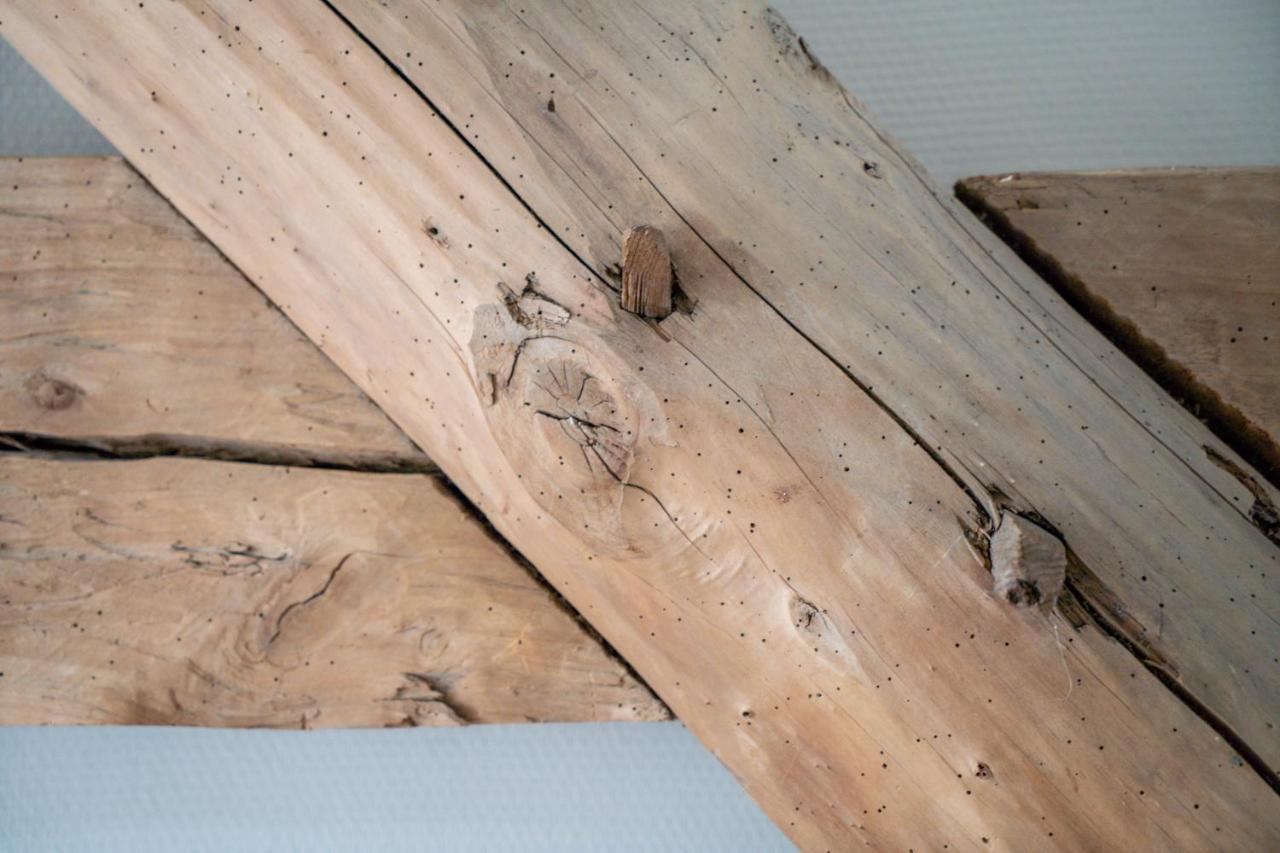 Hoeve De Bongerd Beesel Luaran gambar